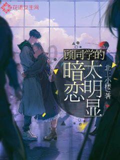 自由小迷宫